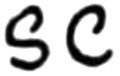 S and C by McCoy
